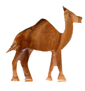 kamel